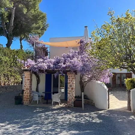 Villa 8Br, Sea Views, Walk To The Beach, Pool-3